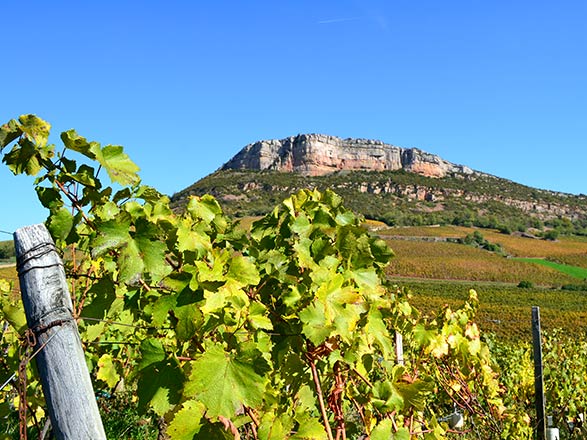 Escale MÂCON - Vignoble du Beaujolais - LYON