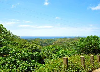Escale Papouasie-Nouvelle-Guinée (Madang)