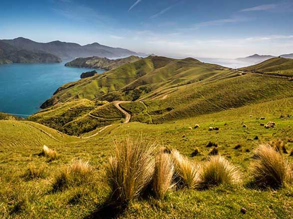 Escale Nouvelle-Zélande (Malborough Sound)