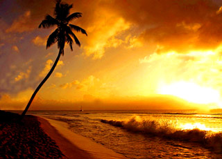 Escale Guadeloupe (Marie Galante - Deshaies)