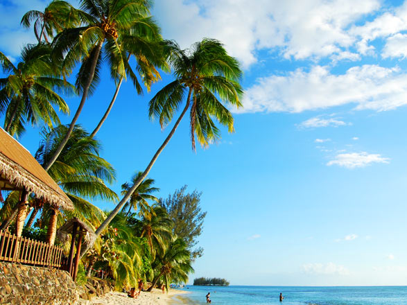 escale,Moorea-Polynésie Française_zoom,PF,MOZ,31796.jpg