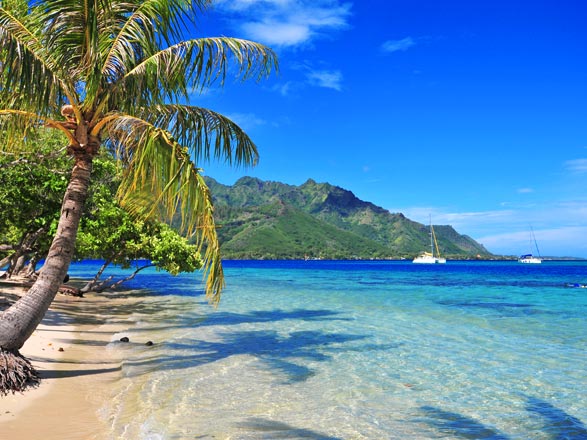 escale,Moorea-Polynésie Française_zoom,PF,MOZ,31798.jpg