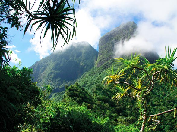 escale,Moorea-Polynésie Française_zoom,PF,MOZ,31799.jpg
