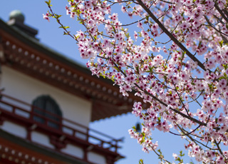 Escale Muroran