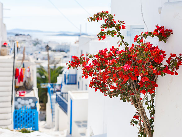 Escale Mykonos (Cyclades)