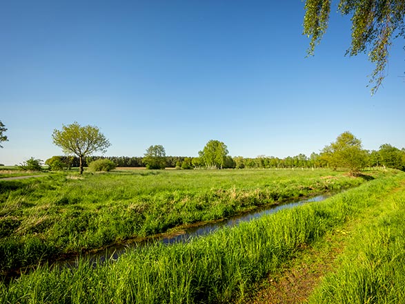 escale,Nienburg-Weser-Allemagne_zoom,DE,NIE,66759.jpg