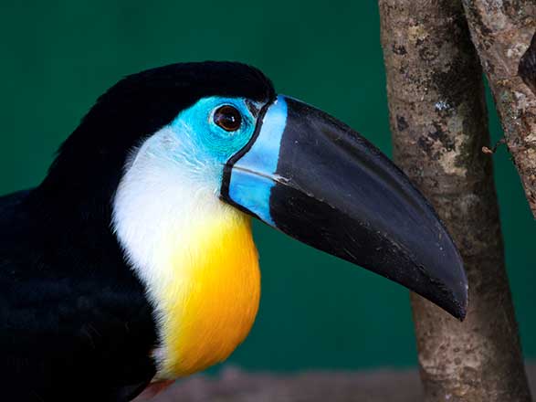 escale,Nosy Ve-Madagascar_zoom,MG,NVM,522820.jpg
