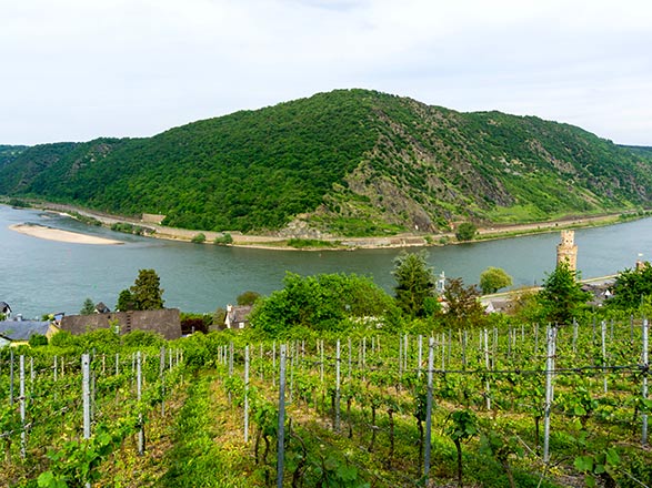 escale,Oberwesel-Allemagne_zoom,DE,OEE,38112.jpg