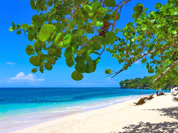escale,Ocho Rios-Jamaïque_zoom,JM,OCJ,72052.jpg
