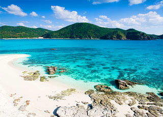 escale,Okinawa-Japon_zoom,JP,OKA,9405.jpg