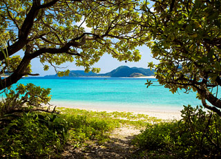 escale,Okinawa-Japon_zoom,JP,OKA,9423.jpg