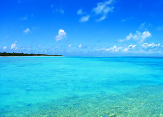 Escale Mooréa (Opunohu Bay)