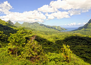 Escale Mooréa (Opunohu Bay)
