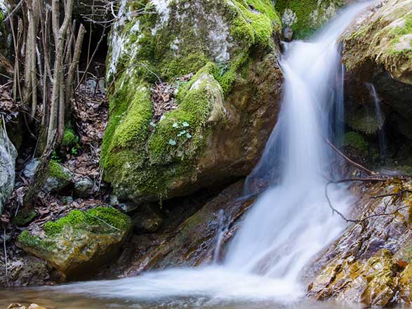 Escale Oryahovo (Bulgarie)