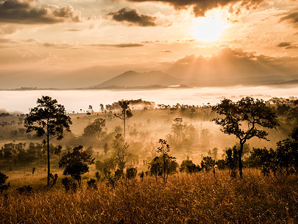 Escale Parc National Chobe