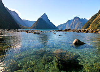 escale,Parc National de Fiordland-Nouvelle-zélande_zoom,NZ,FDL,9835.jpg