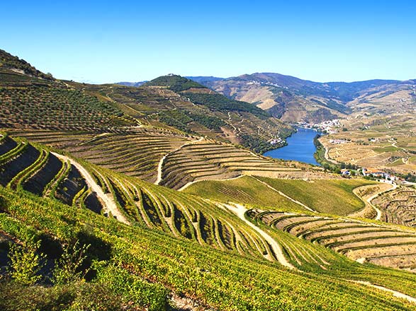 Escale Regua - Rinhao - Vega de Teron