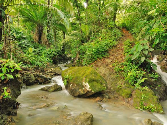 Escale Panama (Playa Muerto)