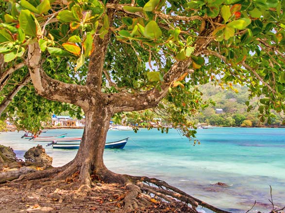 Escale Panama (Playa Muerto)