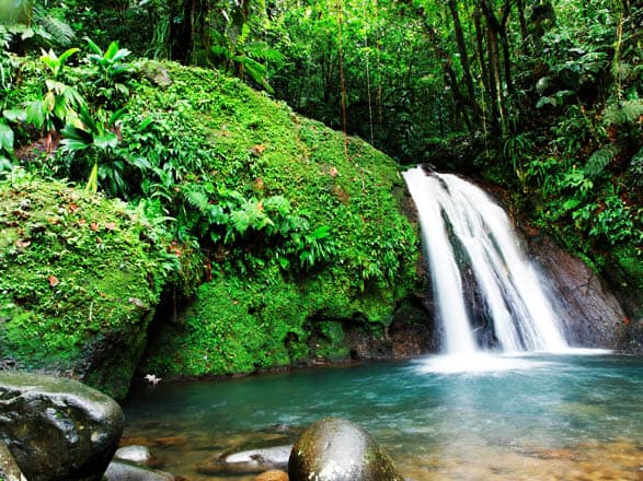 escale,Pointe-à-Pitre-Guadeloupe_zoom,GP,PTP,31932.jpg