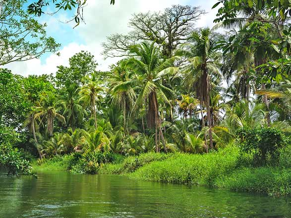 Escale Panama (Portobelo)