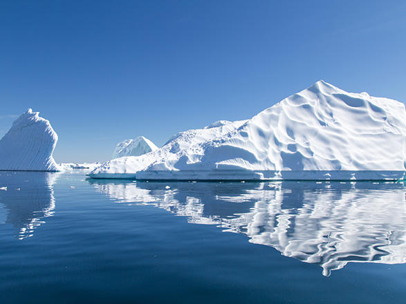 Escale Antarctique (Ile Pourquoi-Pas)