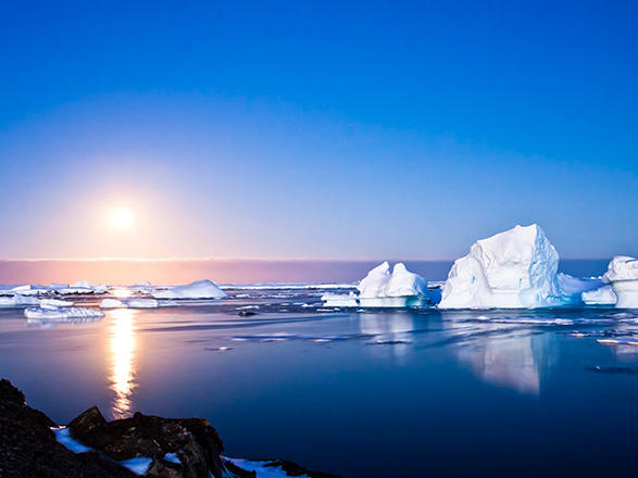 Escale Antarctique (Ile Pourquoi-Pas)