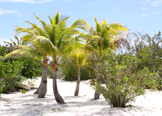 escale,Princess Cay-Bahamas_zoom,BS,PRC,19553.jpg