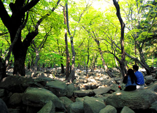 Escale Corée du Sud (Pusan)