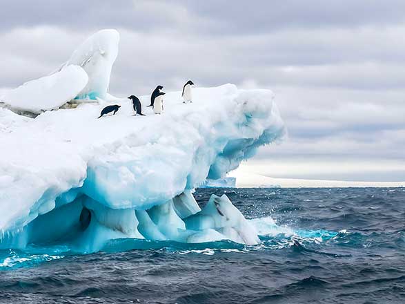 Escale Péninsule Antarctique