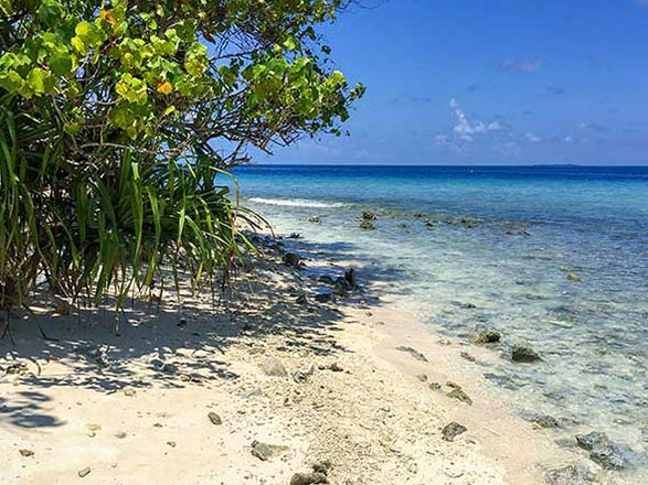 escale,Rasdhoo-Maldives_zoom,MV,XRA,54297.jpg