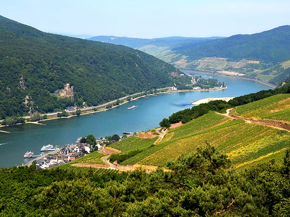 Escale RÜDESHEIM - COCHEM