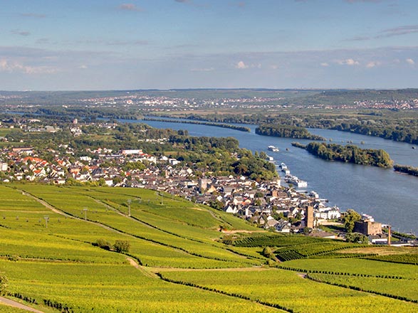 Escale RÜDESHEIM - COCHEM