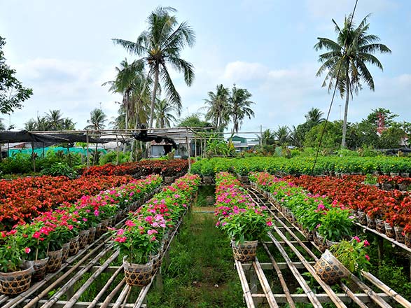 Escale Cai Be - Sa Dec (Vietnam)