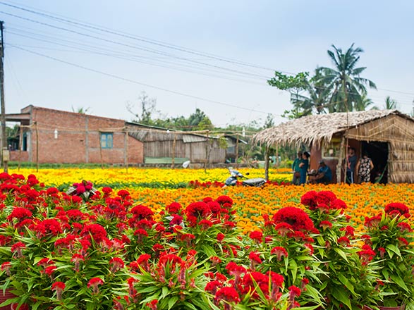 Escale Cai Be - Sa Dec (Vietnam)