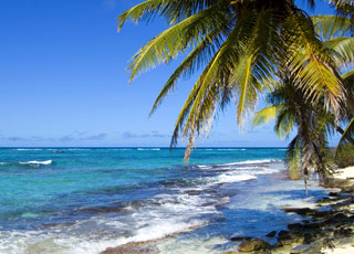 Escale Colombie (Cove Bay & San Andres)