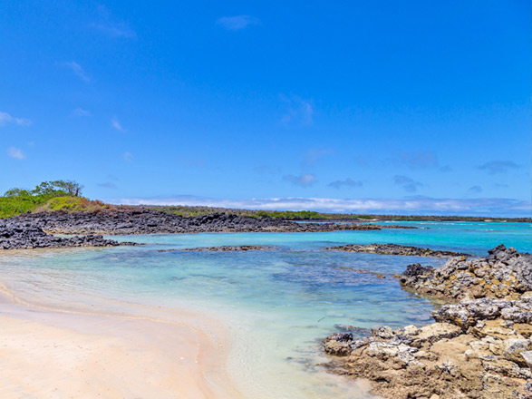Escale Iles Galapagos (Santa Cruz)