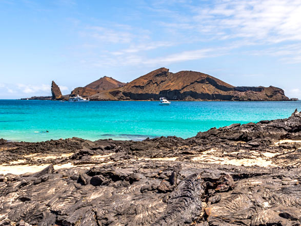 Escale Iles Galapagos (Santiago)