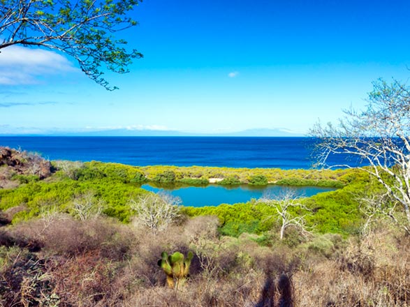 Escale Iles Galapagos (Santiago)