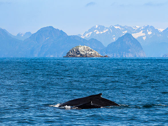 escale,Seward-États-unis_zoom,US,SWD,45929.jpg