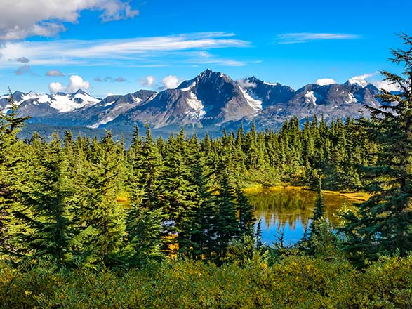 escale,Seward-États-unis_zoom,US,SWD,45931.jpg