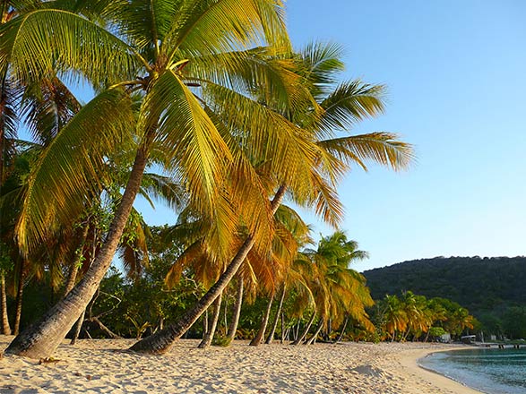 escale,St Vincent et Bequia-Saint-vincent-et-les Grenadines_zoom,VC,BQU,32743.jpg