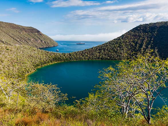 Escale Equateur (Tagus Cove)