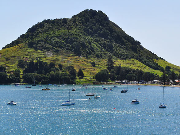 escale,Tauranga-Nouvelle-zélande_zoom,NZ,TRG,520426.jpg
