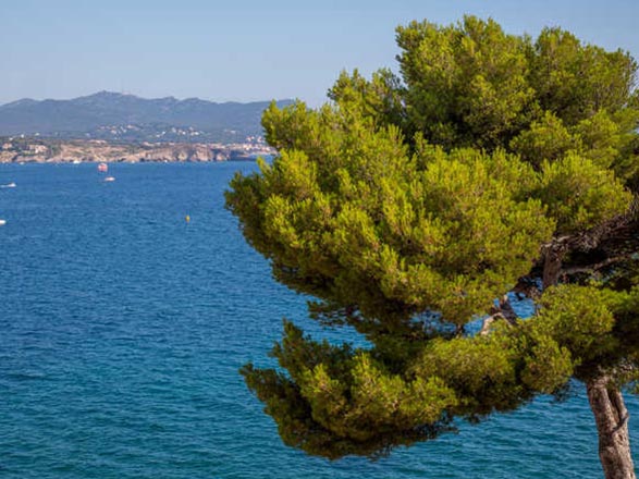 Escale Toulon (La Seyne sur Mer)