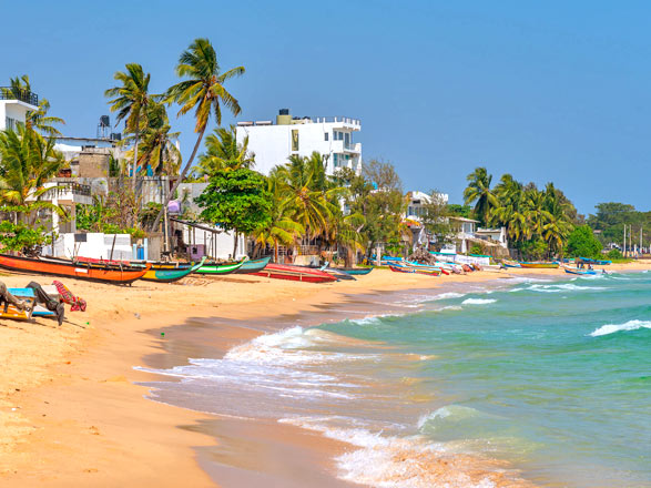 escale,Trincomalee-Sri Lanka_zoom,LK,TRR,527479.jpg