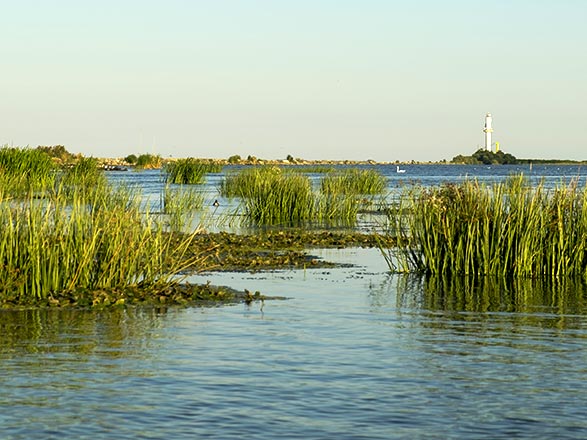 Escale TULCEA (Roumanie)