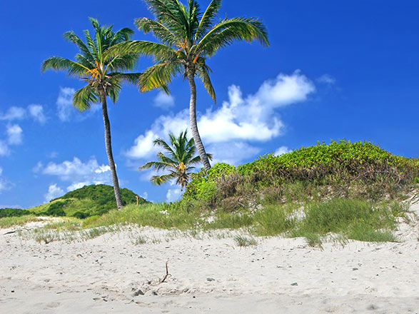 Escale St Vincent et les Grenadines (Union)