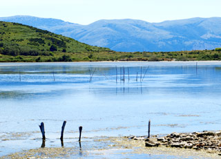 Escale VLORE