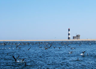 Escale Namibie (Walvis Bay)